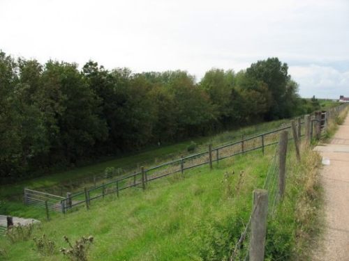 deich Scharendijke Ferienhaus