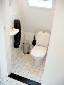 aparttoilet.jpg